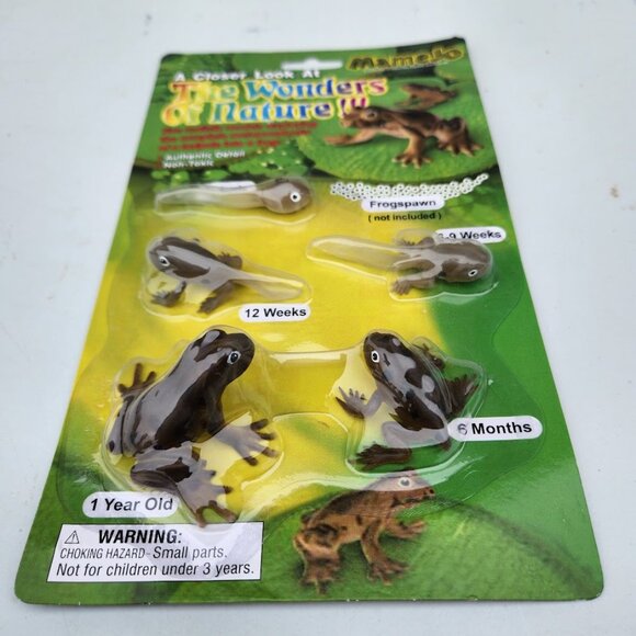 Tadpole to Frog Morphosis Life Cycle Science STEM Toys Set Kit BRAND NEW With au - Picture 3 of 10